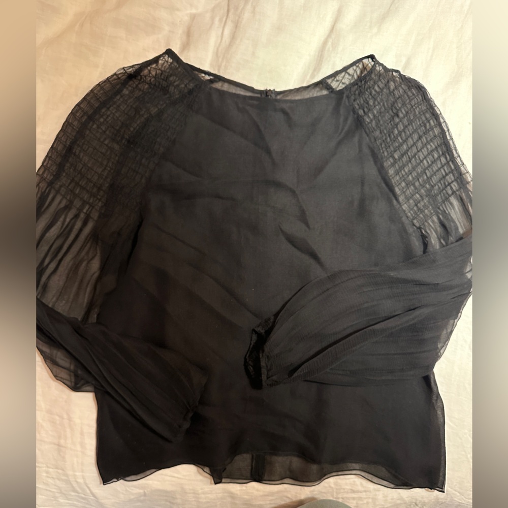 Elegant Black Sheer Blouse